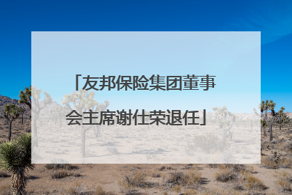 友邦保险集团董事会主席谢仕荣退任
