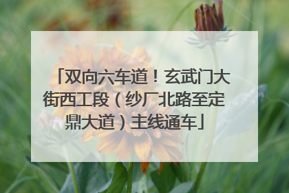 双向六车道！玄武门大街西工段（纱厂北路至定鼎大道）主线通车