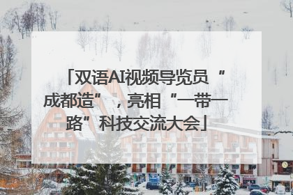 双语AI视频导览员“成都造”，亮相“一带一路”科技交流大会