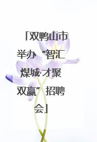 双鸭山市举办“智汇煤城·才聚双赢”招聘会