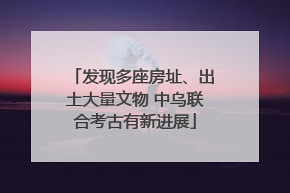发现多座房址、出土大量文物 中乌联合考古有新进展