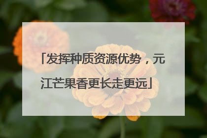 发挥种质资源优势，元江芒果香更长走更远