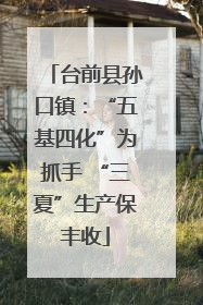 台前县孙口镇：“五基四化”为抓手 “三夏”生产保丰收