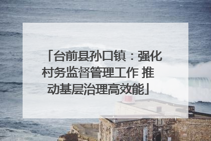 台前县孙口镇：强化村务监督管理工作 推动基层治理高效能