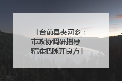 台前县夹河乡：市政协调研指导 精准把脉开良方