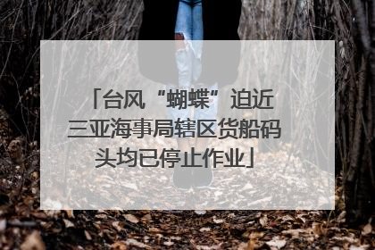 台风“蝴蝶”迫近 三亚海事局辖区货船码头均已停止作业