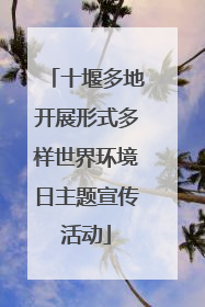 十堰多地开展形式多样世界环境日主题宣传活动
