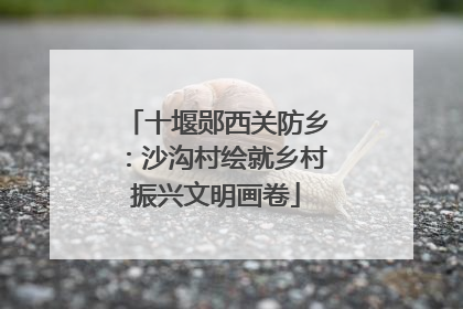 十堰郧西关防乡：沙沟村绘就乡村振兴文明画卷