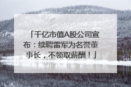 千亿市值A股公司宣布：续聘雷军为名誉董事长，不领取薪酬！