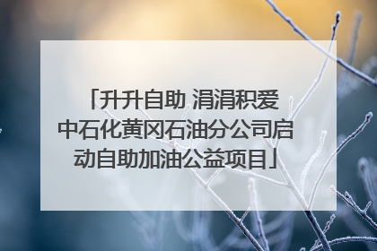 升升自助 涓涓积爱 中石化黄冈石油分公司启动自助加油公益项目