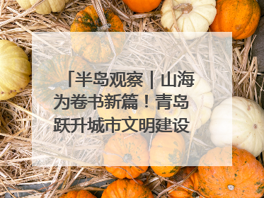 半岛观察｜山海为卷书新篇！青岛跃升城市文明建设“新航线”