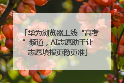 华为浏览器上线“高考”频道，AI志愿助手让志愿填报更稳更准