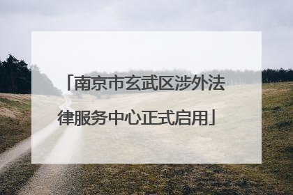 南京市玄武区涉外法律服务中心正式启用