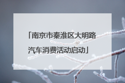 南京市秦淮区大明路汽车消费活动启动