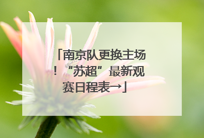 南京队更换主场！“苏超”最新观赛日程表→