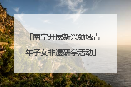 南宁开展新兴领域青年子女非遗研学活动