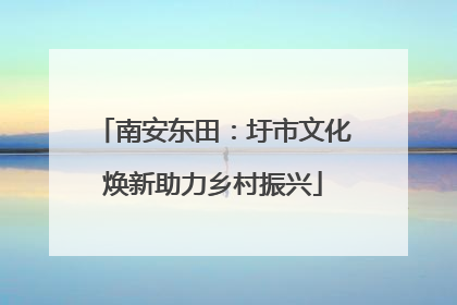 南安东田：圩市文化焕新助力乡村振兴