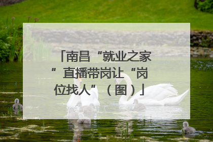 南昌“就业之家”直播带岗让“岗位找人”（图）