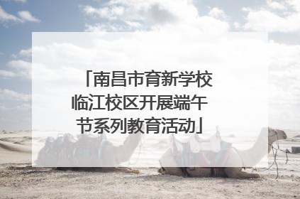 南昌市育新学校临江校区开展端午节系列教育活动