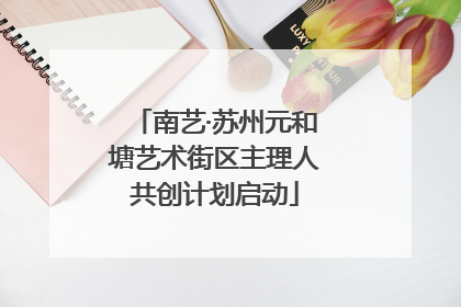 南艺·苏州元和塘艺术街区主理人共创计划启动