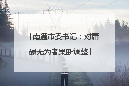 南通市委书记：对庸碌无为者果断调整