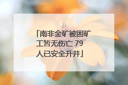 南非金矿被困矿工暂无伤亡 79人已安全升井