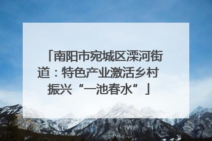 南阳市宛城区溧河街道：特色产业激活乡村振兴“一池春水”