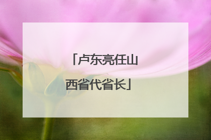 卢东亮任山西省代省长