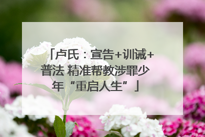 卢氏：宣告+训诫+普法 精准帮教涉罪少年“重启人生”