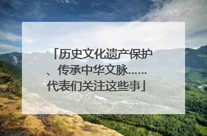 历史文化遗产保护、传承中华文脉……代表们关注这些事