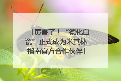 厉害了！“德化白瓷”正式成为米其林指南官方合作伙伴