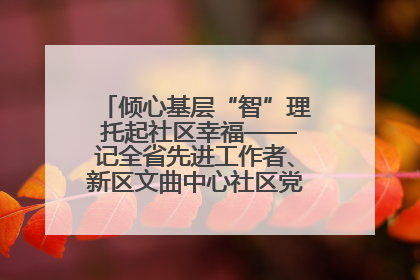 倾心基层“智”理 托起社区幸福——记全省先进工作者、新区文曲中心社区党委书记董世弘