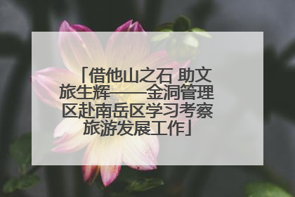借他山之石 助文旅生辉——金洞管理区赴南岳区学习考察旅游发展工作
