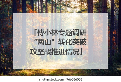 傅小林专题调研“两山”转化突破攻坚战推进情况