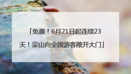 免票！6月21日起连续23天！蒙山向全国游客敞开大门