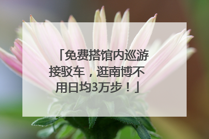 免费搭馆内巡游接驳车，逛南博不用日均3万步！