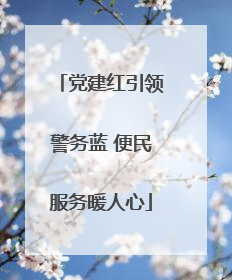 党建红引领警务蓝 便民服务暖人心