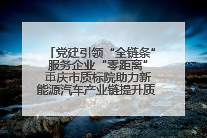 党建引领“全链条” 服务企业“零距离” 重庆市质标院助力新能源汽车产业链提升质量管理水平