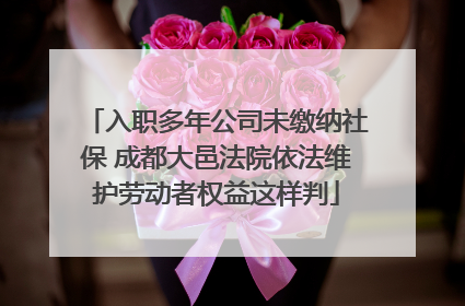 入职多年公司未缴纳社保 成都大邑法院依法维护劳动者权益这样判