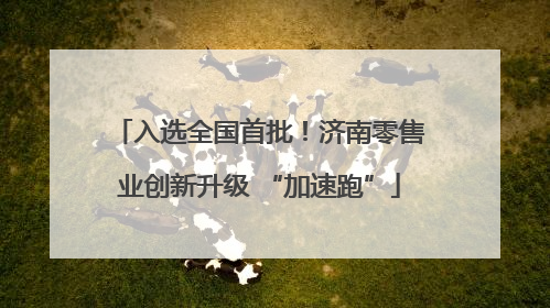入选全国首批！济南零售业创新升级 “加速跑”