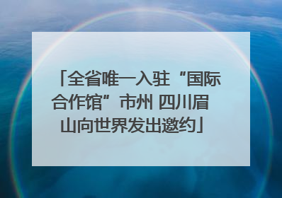 全省唯一入驻“国际合作馆”市州 四川眉山向世界发出邀约