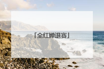全红婵退赛