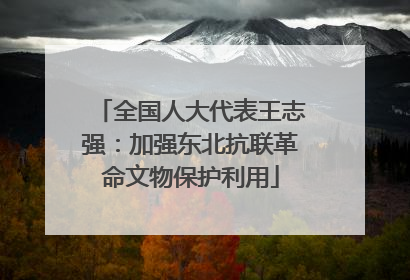 全国人大代表王志强：加强东北抗联革命文物保护利用