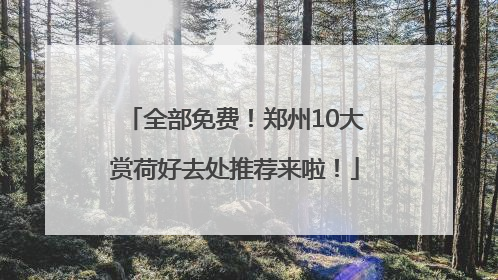 全部免费！郑州10大赏荷好去处推荐来啦！