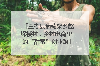 兰考县葡萄架乡赵垛楼村：乡村电商里的“甜蜜”创业路