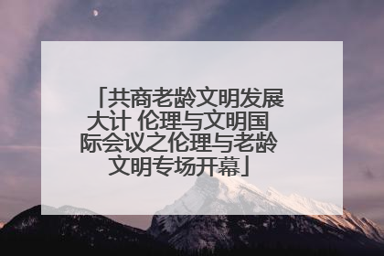 共商老龄文明发展大计 伦理与文明国际会议之伦理与老龄文明专场开幕