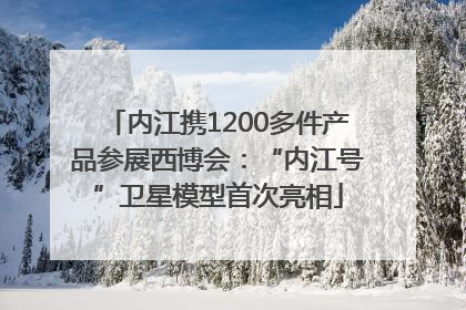 内江携1200多件产品参展西博会：“内江号”卫星模型首次亮相