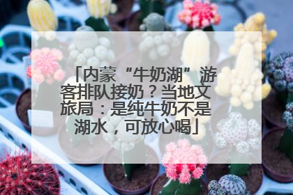 内蒙“牛奶湖”游客排队接奶？当地文旅局：是纯牛奶不是湖水，可放心喝
