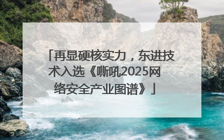 再显硬核实力，东进技术入选《嘶吼2025网络安全产业图谱》