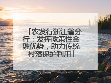 农发行浙江省分行：发挥政策性金融优势，助力传统村落保护利用